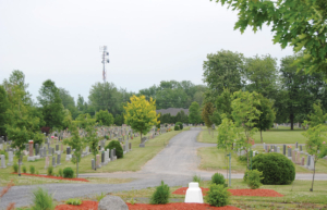 vue d'ensembe du cimetière traditionnel - Cimetière Saint-Jean