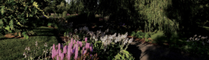 Saule et fleurs - Cimetière Saint-Jean