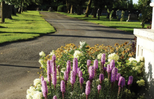 Lot terrain communautaire - Cimetière Saint-Jean